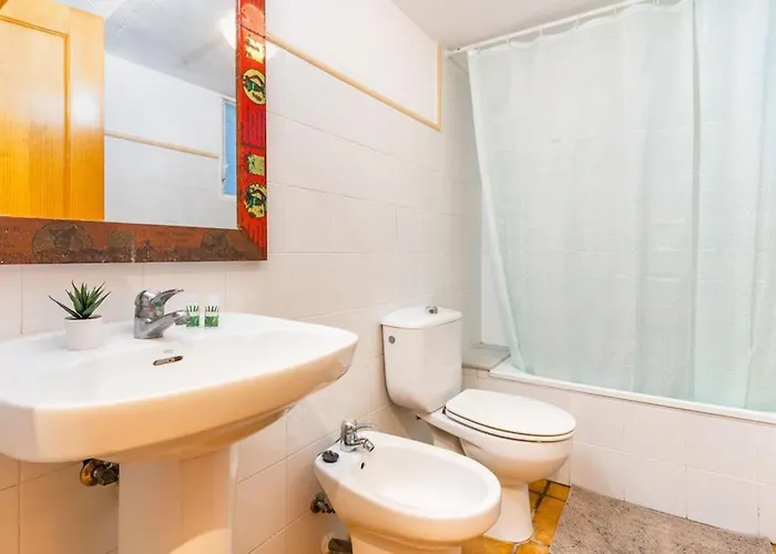 Invalencia - Musico 2 Turia Gardens